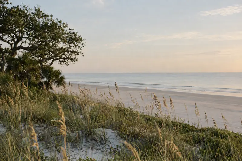 Illustrative photo: dunes and sea oats on an empty Hilton Head beach at dawn