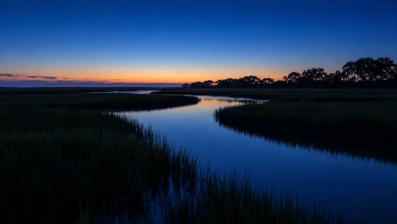 Illustrative photo: a Lowcountry salt marsh and tidal creek at blue hour
